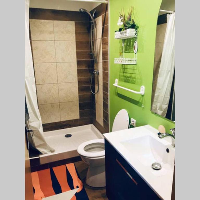 House with nice garden, downtown by walk - Appartement 2 Chambres - 11