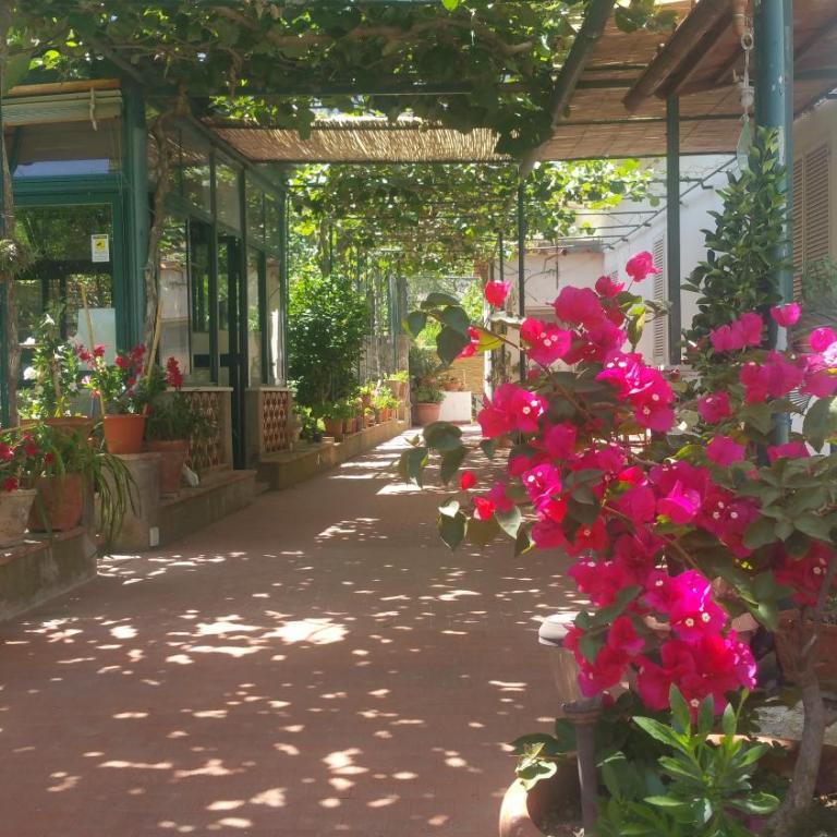 Villa dei fiori B&B - Camera Matrimoniale Deluxe con 1 Letto Supplementare - 1
