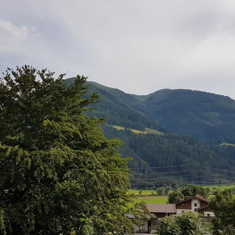 Haus Garten An der Sonne Nationalpark Summercard - Appartement avec Vue sur la Montagne - 25