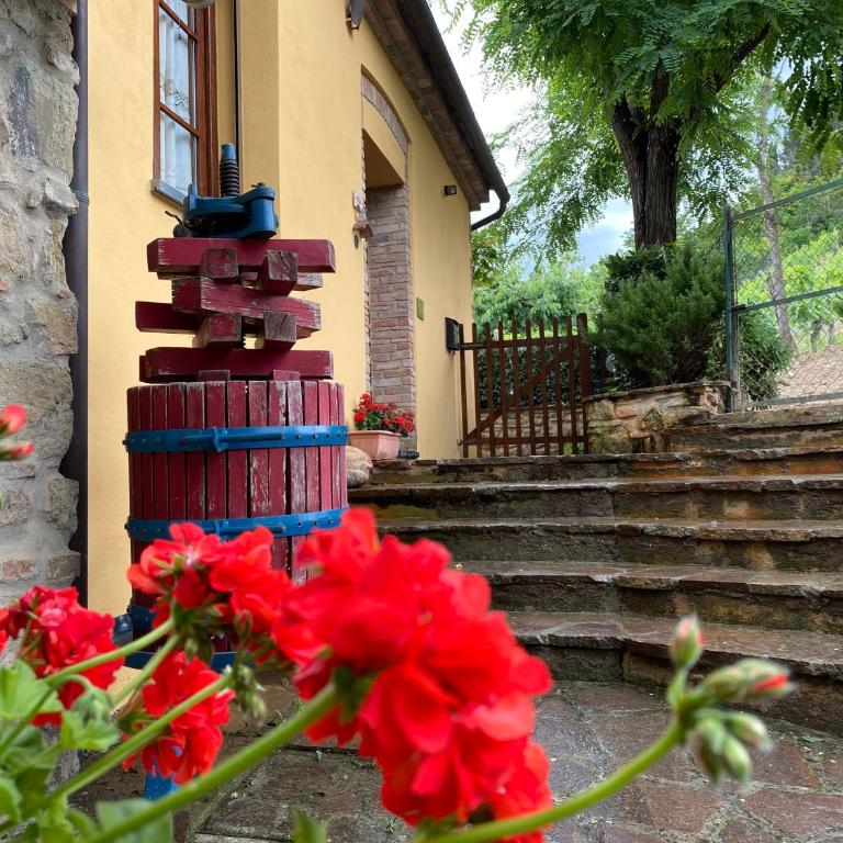 Agriturismo Villino del Grillo - Vacation Home - 12
