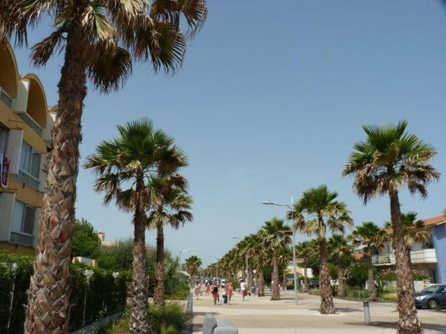 Marseillan Plage Les Ancres appartement 2 pièces près mer et commerces - Appartement 2 Chambres - 19