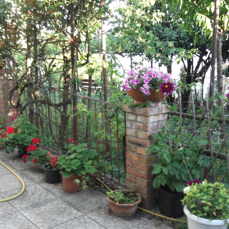 Le Mimose - Casa Vacanze - 28