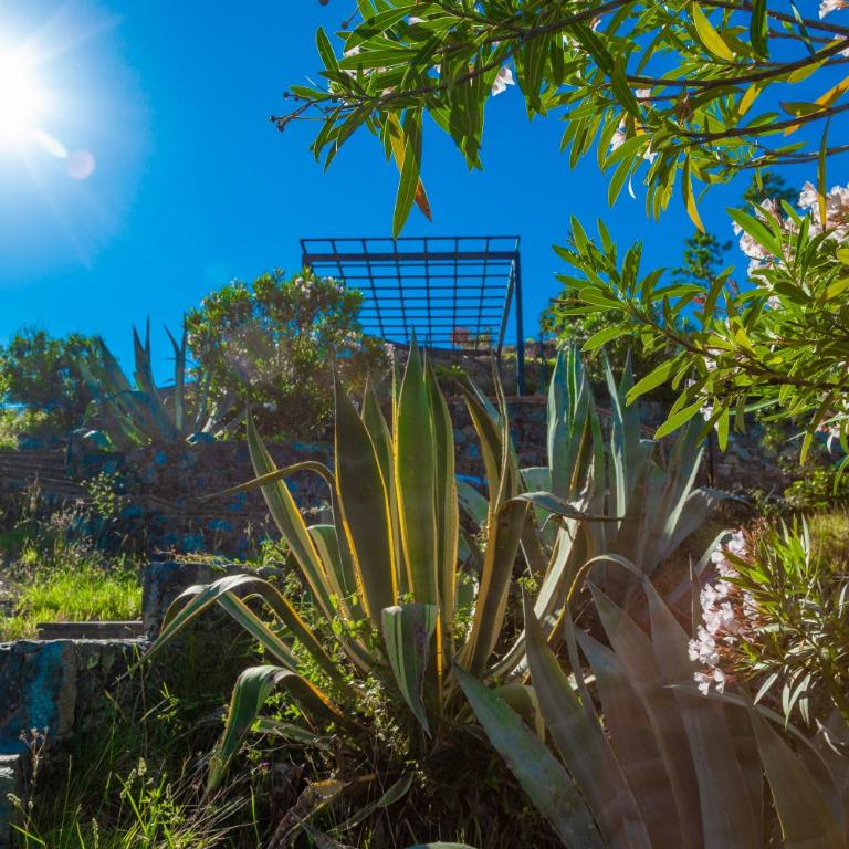 GIARDINO SUL MARE House - Levanto Sea View - Appartamento con 1 Camera da Letto - 23