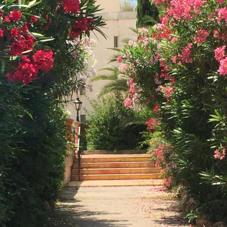 BRIGITTE Studio centre Saint Tropez parking piscine wifi vue mer - Studio-Apartment mit Meerblick - 18