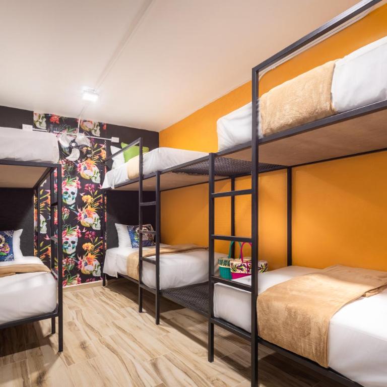 Casa Kanabri Hostal Boutique - Single Bed in 6-Bed Dormitory Room - 8