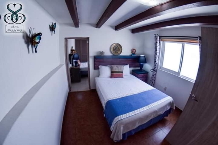 Hotel Tres Sofias - Superior Family Room - 5