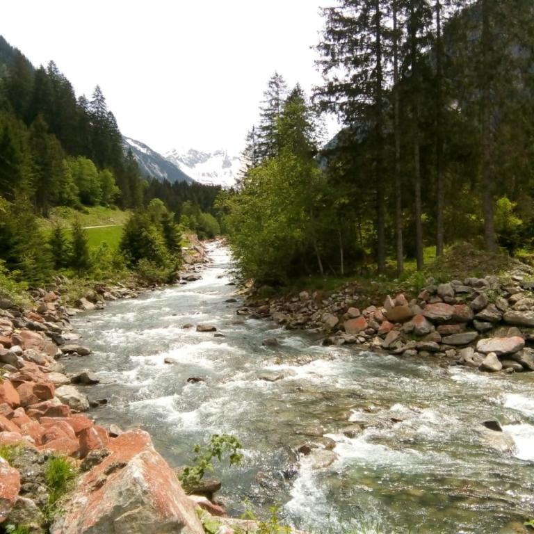 Landhaus Katharina bis 5 Personen mit Saunachalet und Blick auf die Bergwelt des Zillertals - Apartment mit Blick auf die Berge - 49