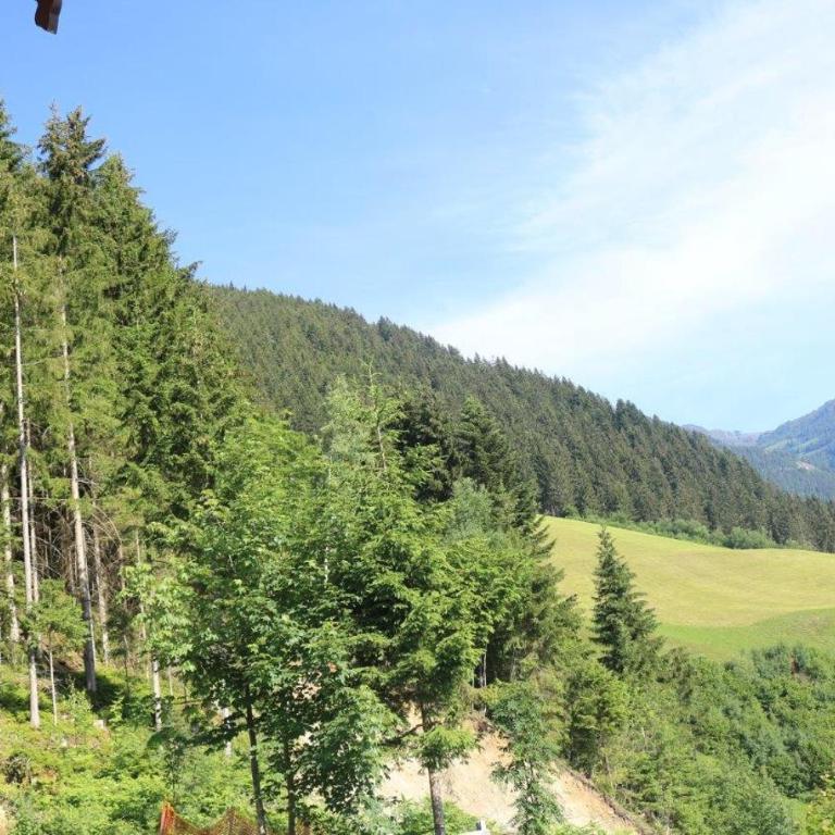 Landhaus Katharina bis 5 Personen mit Saunachalet und Blick auf die Bergwelt des Zillertals - Apartment mit Blick auf die Berge - 5