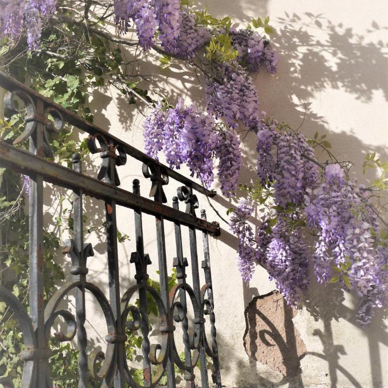 Castelnau - Chambre Triple - 26