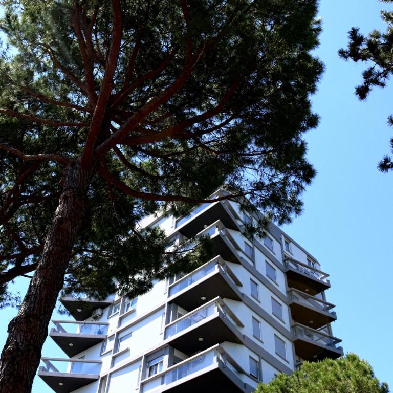 Penthouse Bellavista - Appartamento - 31