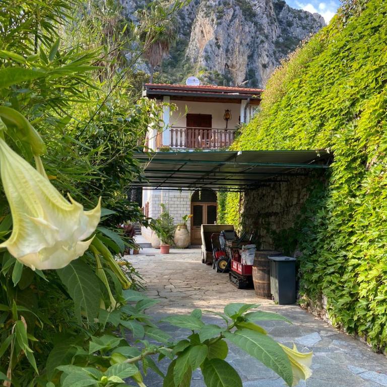 Ascheri Country House - Grimaldi, Ventimiglia - Villa con Vista Mare - 38
