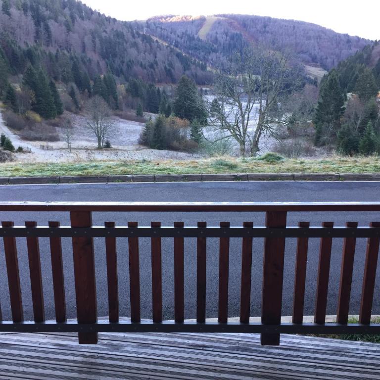 Vue Panoramique - 800m pistes Hohneck - Wifi - classé 3 étoiles - Appartement 1 Chambre - 12
