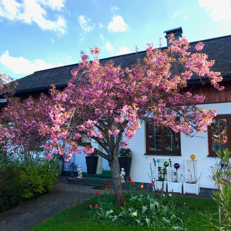 Haus Belli - Chalet mit 3 Schlafzimmern - 1