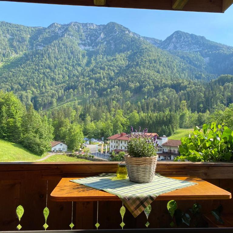 Kienberghof - Apartment mit 1 Schlafzimmer - 1
