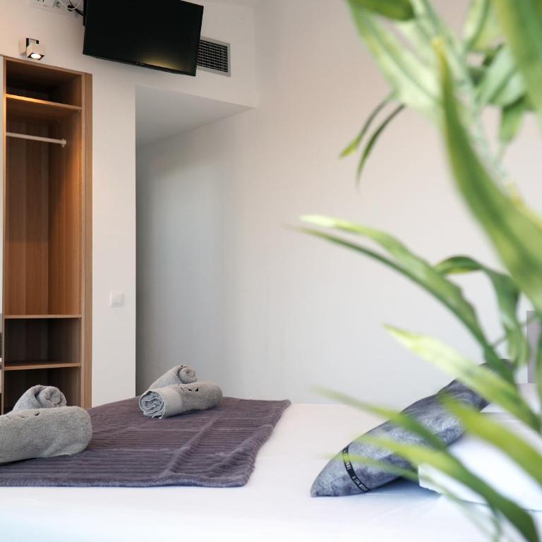 Casa Lou, architect villa with heated pool at Begur, 470m2 - Villa con piscina privada - 37