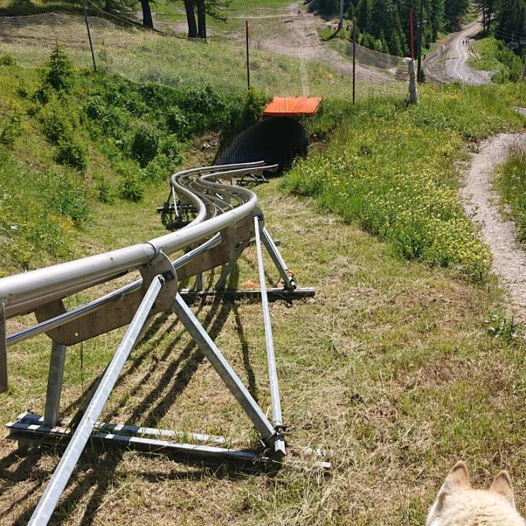 Studio Le Boussolenc - Monolocale con Vista Montagna - 14
