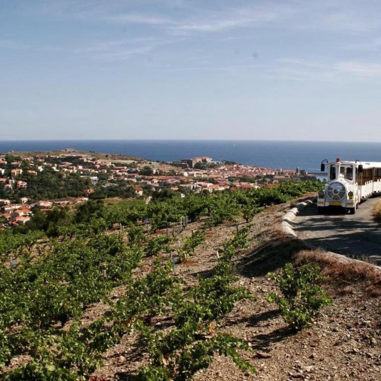 Appartement rénové à 50 m de COLLIOURE Plage, Entrée autonome, Climatisé - Apartment - 28