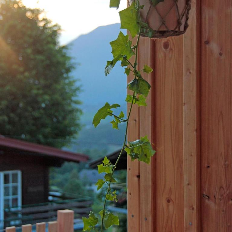 Haus am Salz mit Sauna - Ferienhaus - 50