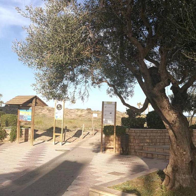 APARTAMENTOFAMILIAR, PLAYA, WIFI, PISCINA - Apartment mit 2 Schlafzimmern - 42