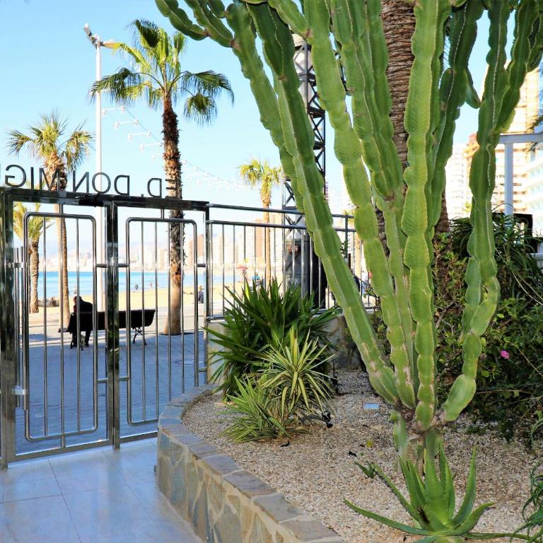 Don Miguel 1 10-B Apartment Levante Beach - Apartment with Sea View - 31