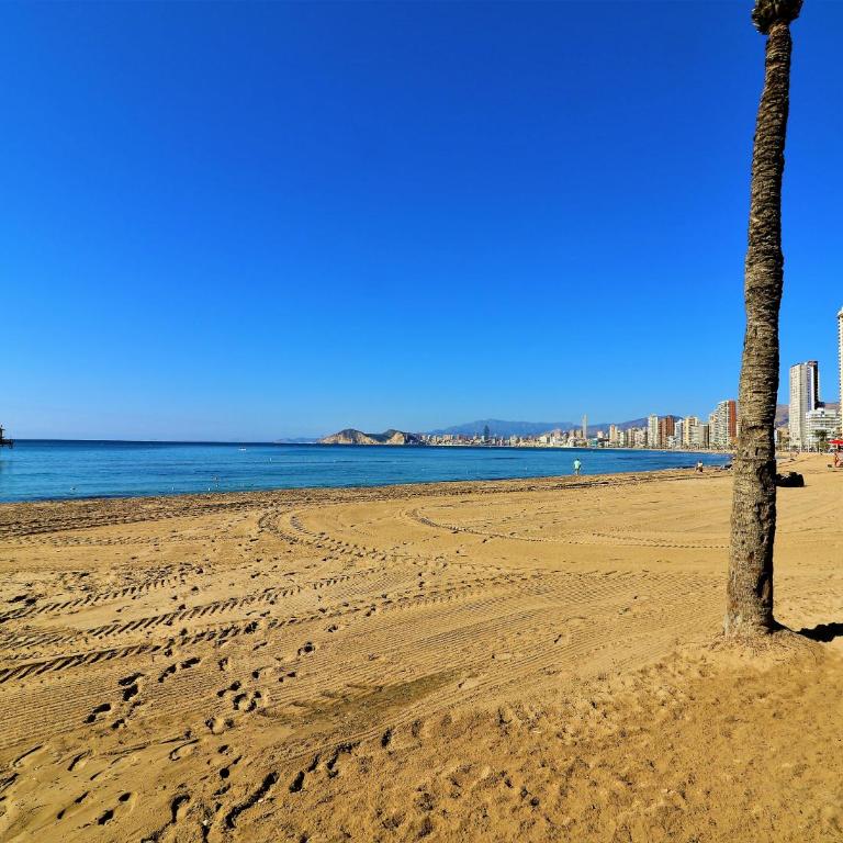 Don Miguel 1 10-B Apartment Levante Beach - Apartment with Sea View - 33