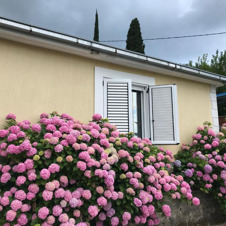 Etno village Mihailovic - Kuća sa 1 Spavaćom Sobom - 73