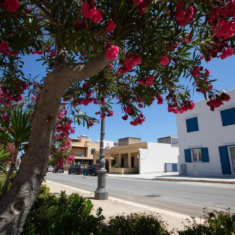 Coral Holiday San Vito Lo Capo - Appartamento con 1 Camera da Letto - 52