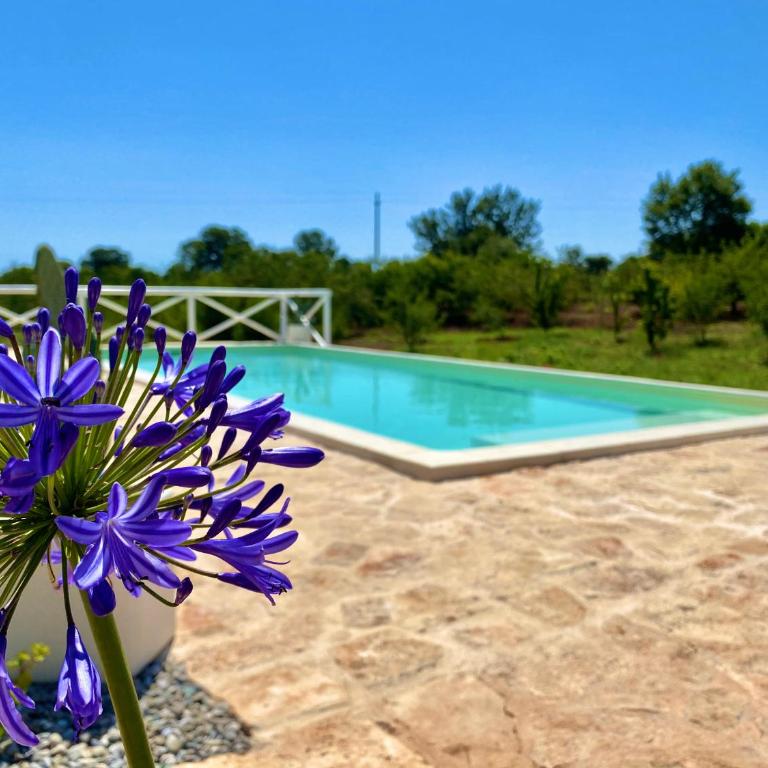 Trulli Paradise Alberobello - Trullo con 3 Camere da Letto e Piscina Privata - 30