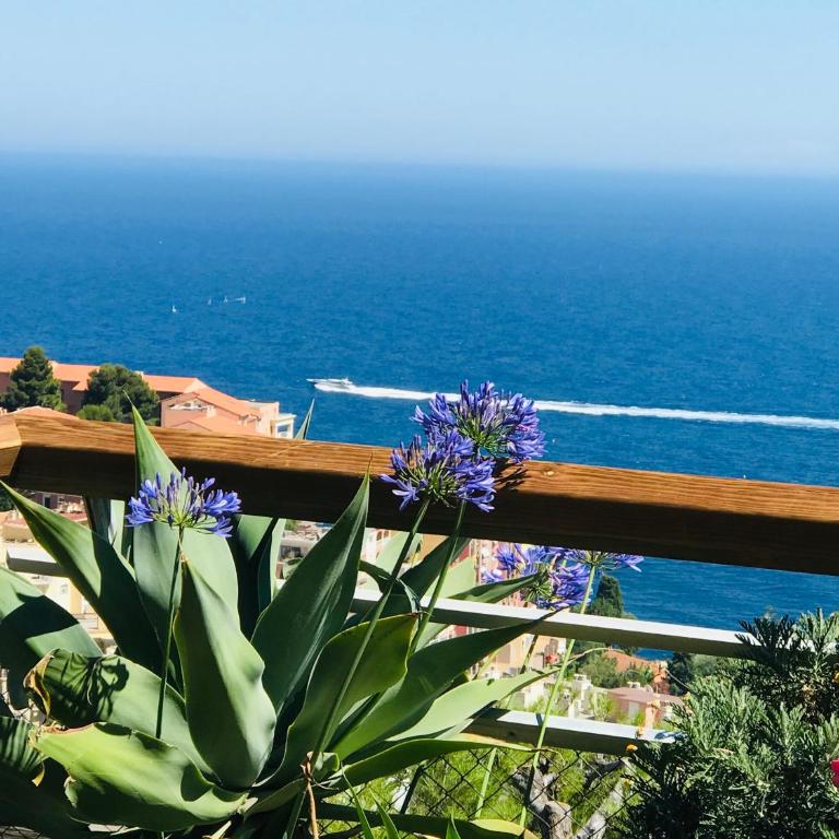 COSTA PLANA COLLECTION - Cap d'Ail - Monaco - Appartement 1 Chambre (509) - Vue sur Mer - 8