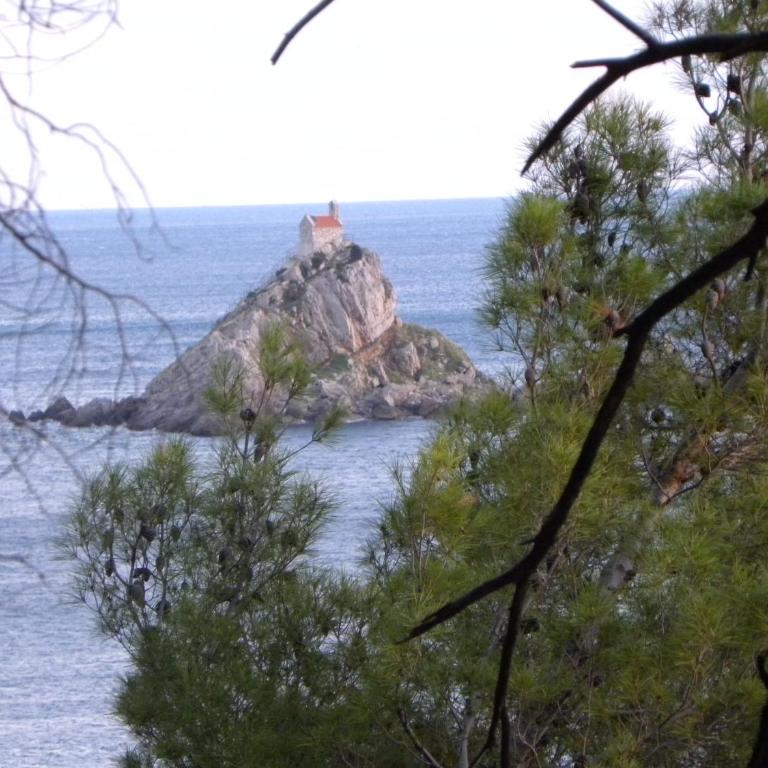 Apartments Almaja Villa - Comfort Studio with Balcony and Sea View - 3