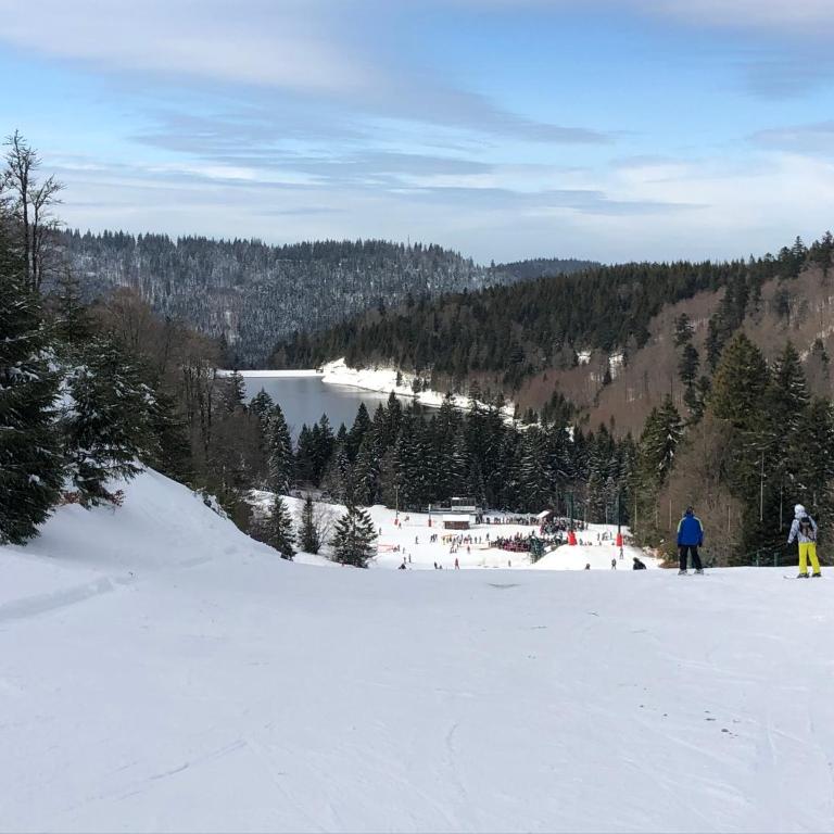 Vue Panoramique - 800m pistes Hohneck - Wifi - classé 3 étoiles - Appartement 1 Chambre - 17