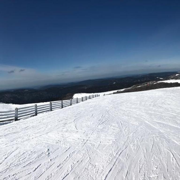 Vue Panoramique - 800m pistes Hohneck - Wifi - classé 3 étoiles - Appartement 1 Chambre - 16
