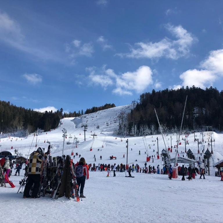 Vue Panoramique - 800m pistes Hohneck - Wifi - classé 3 étoiles - Appartement 1 Chambre - 15