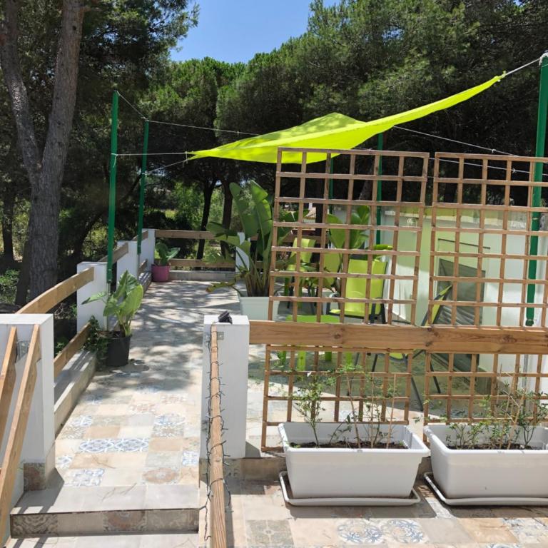 Casa Rural Los Pepe Sancti Petri - Apartamento Dúplex - 12