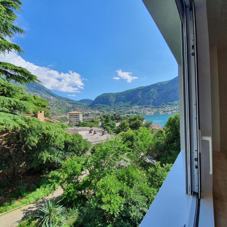 Viola lux apartments - Studio with Mountain View - 6
