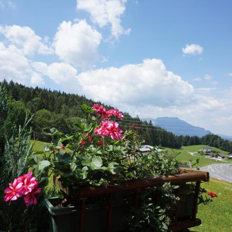Chalet Monika - Chalet 2 Chambres - 11