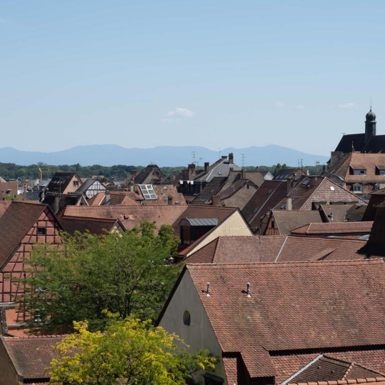 COLMAR SWEET HOME - Appartamento con 2 Camere da Letto - 17
