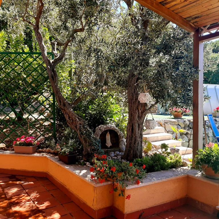 Lomarchi Holiday Home - Casa Vacanze - 10