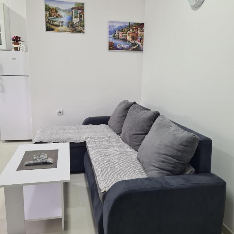 Apartmani Popivoda - Apartman - Prizemlje - 10
