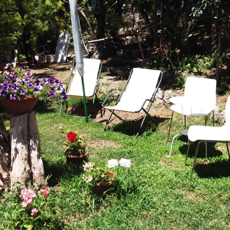 Le Mimose - Casa Vacanze - 24