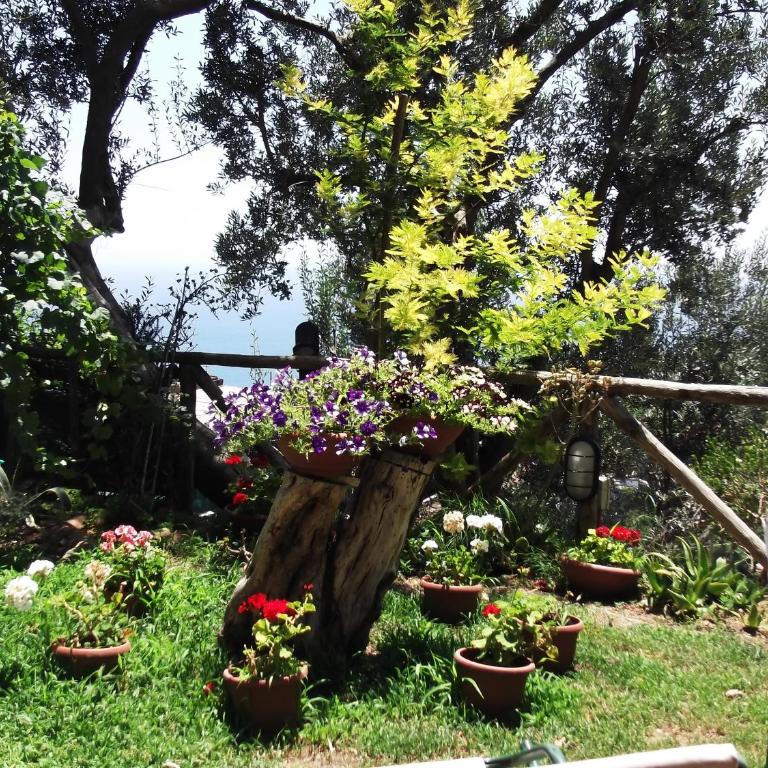 Le Mimose - Casa Vacanze - 25