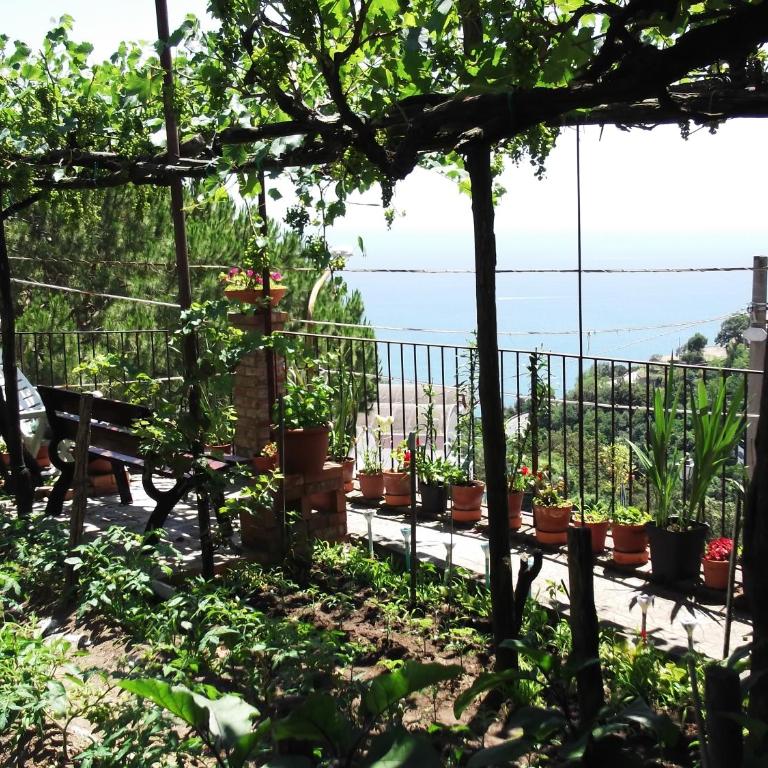 Le Mimose - Casa Vacanze - 26