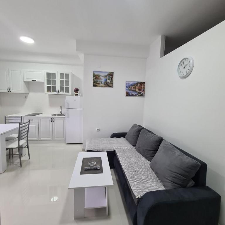 Apartmani Popivoda - Apartman - Prizemlje - 9