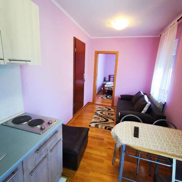 Vila Katarina - Apartman sa 1 Spavaćom Sobom - 28