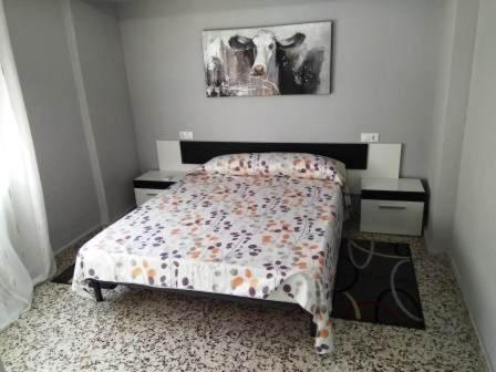 Torrevieja Playa Cura - Apartamento de 3 dormitorios - 15