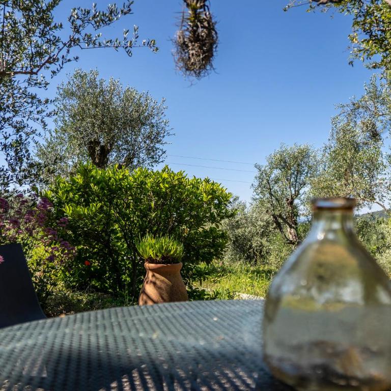 domaine des tilleuls d'or - Chambre Double avec Terrasse - 7