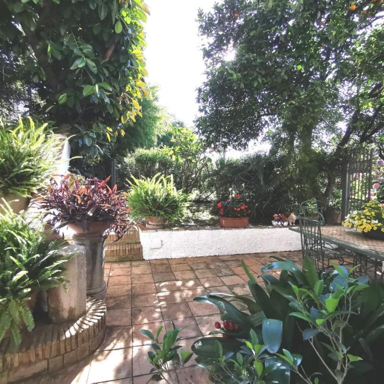 Oasi di Pace - Two-Bedroom House - 1