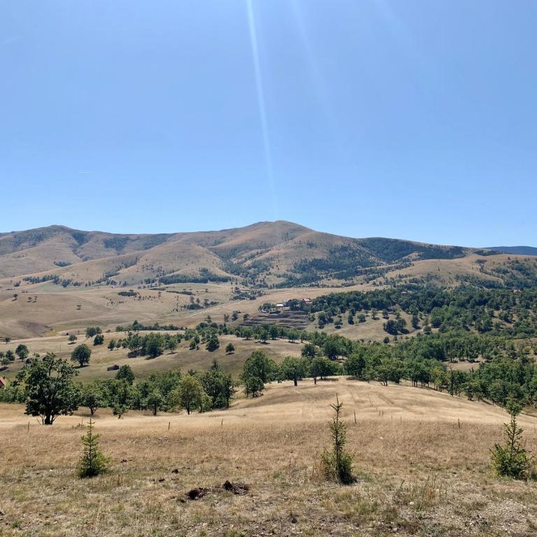 Brvnara ispod Čigote - Brvnara sa 1 Spavaćom Sobom - 15