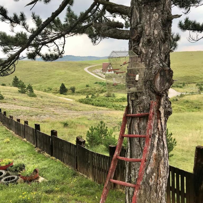 Brvnara ispod Čigote - One-Bedroom Chalet - 19