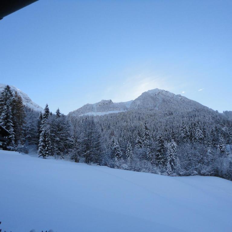 Ferienwohnung Hoamatl in Königssee - Appartement avec Terrasse - 9